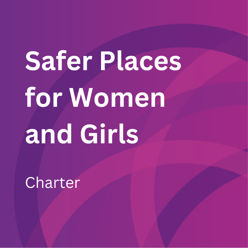 Safer Places for Women and Girls - Violence Reduction Alliance